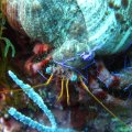IMG_0949