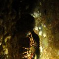 IMG_0975