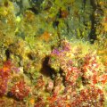 IMG_0985