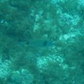 IMG_0995