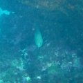 IMG_1630
