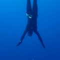 IMG_1652