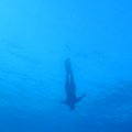 IMG_1668