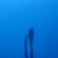 IMG_1672
