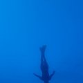 IMG_1675