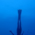 IMG_1677
