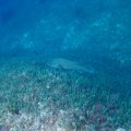 IMG_1690