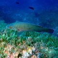 IMG_1691