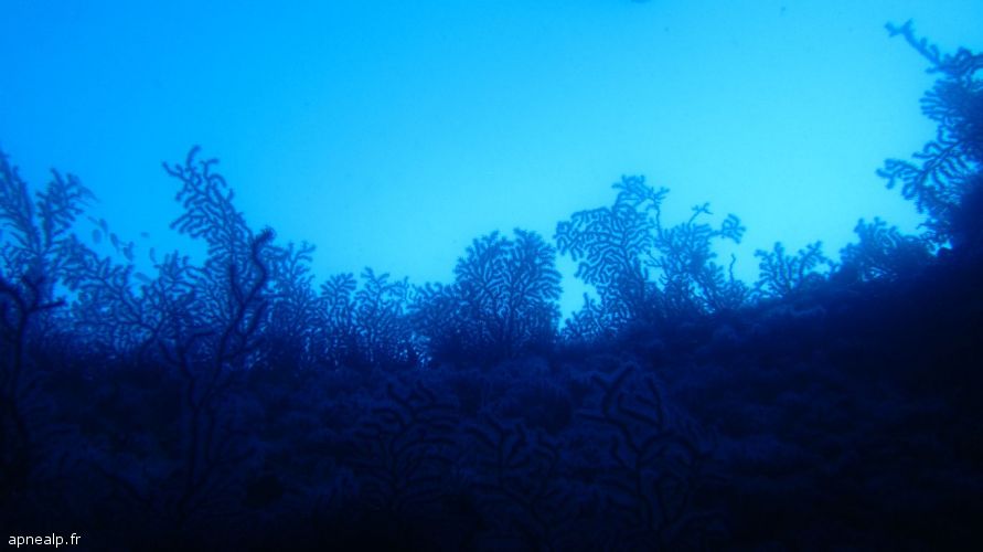twg_slideshow