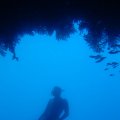IMG_1062