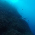 GOPR0600