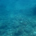 IMG_2040