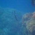 IMG_1873