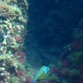 IMG_1877
