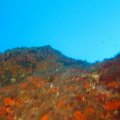 IMG_1893