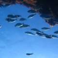 IMG_1897