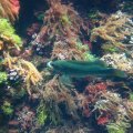 IMG_1904