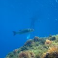 IMG_1906