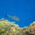 IMG_1907