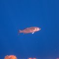 IMG_1908