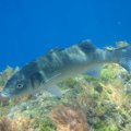 IMG_1915
