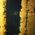 IMG_1920