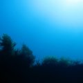 IMG_1923