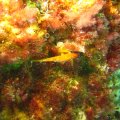 IMG_1939