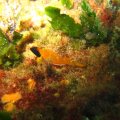 IMG_1953
