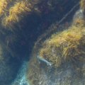 IMG_1957