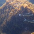 IMG_1961