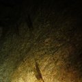 IMG_1968