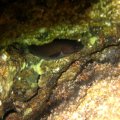 IMG_1971