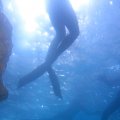 IMG_1977