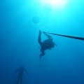 DSC06531_1
