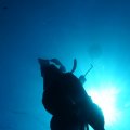 DSC06533_1
