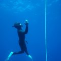 DSC06536_1