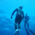 DSC06538_1