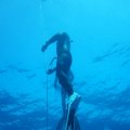 DSC06539_1