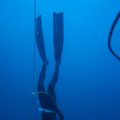 DSC06560_1