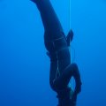 DSC06571_1