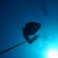 DSC06576_1
