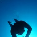 DSC06577_1