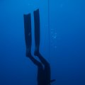DSC06578_1